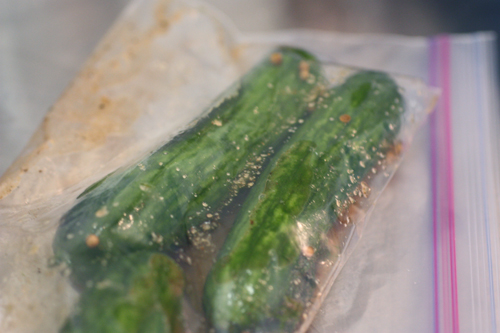 Cucumbers pickling in a resealable storage bag
